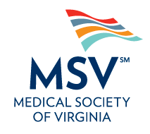 MSV Logo